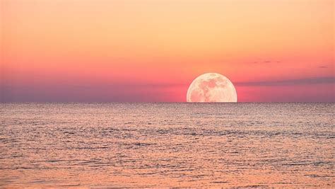 summer carter|Strawberry Moon 2024: See summer's first full moon rise a day .